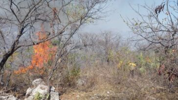 incendio forestal Jiutepec