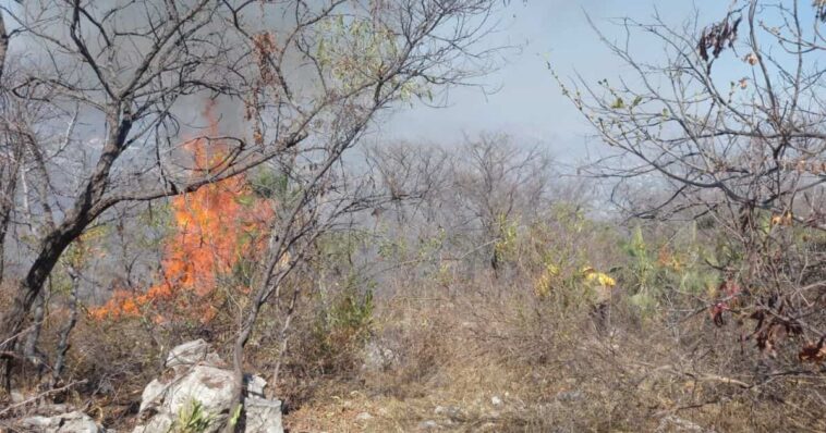 incendio forestal Jiutepec