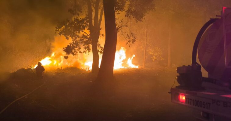 Liquidan 70% del incendio forestal en "El Capote"