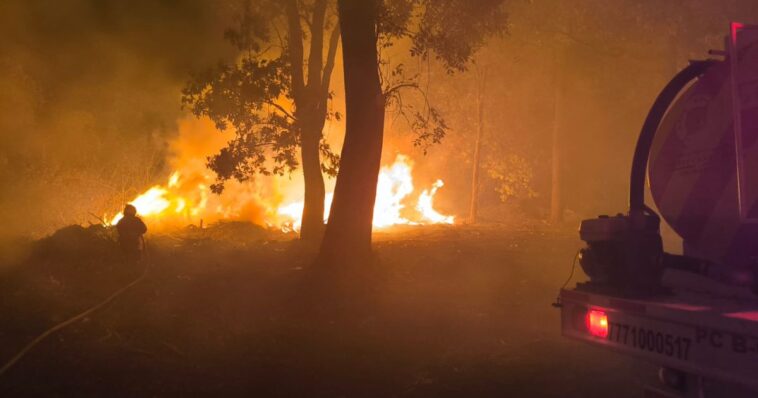 Liquidan 70% del incendio forestal en "El Capote"