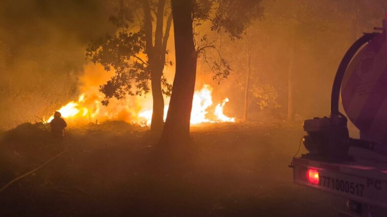 Liquidan 70% del incendio forestal en "El Capote"