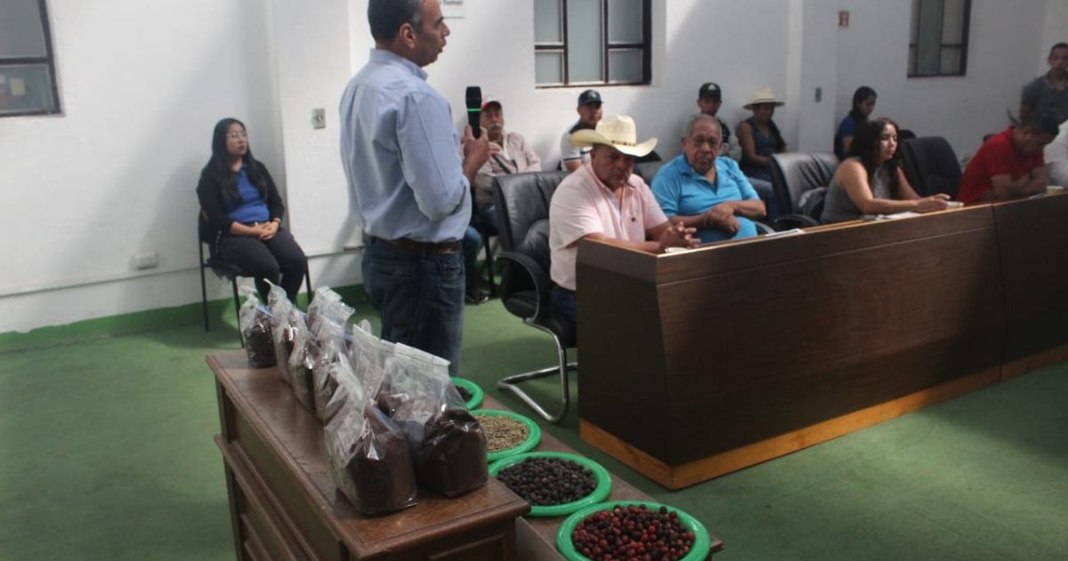 Autorizan distribución de recursos para productores de café