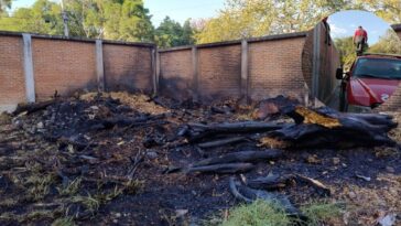 Bomberos sofocan incendio en Ciudad Chapultepec