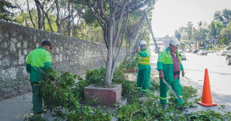 Cuernavaca una ciudad inclusiva