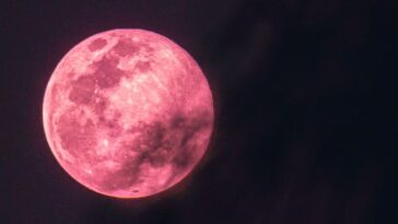 ¡Esta noche habrá Luna Rosa!