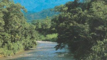 migrantes río Suchiate