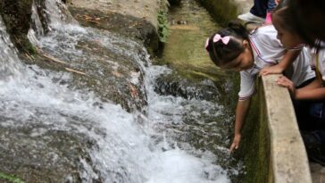 niños en el Parque Chapultepec