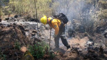 Se reporta un 60% de liquidación de incendio en “Lechuguillas”