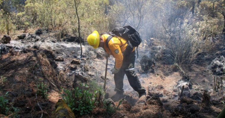 Se reporta un 60% de liquidación de incendio en “Lechuguillas”