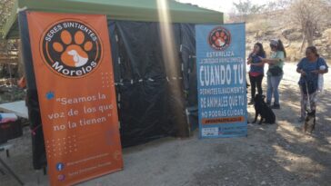 jornada de esterilizacion