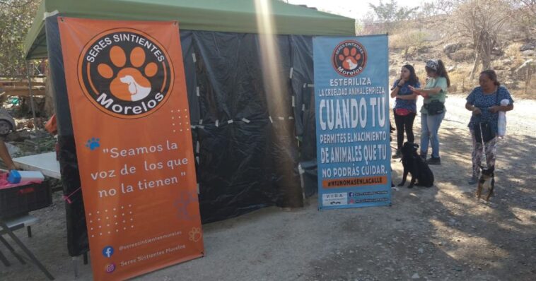 jornada de esterilizacion