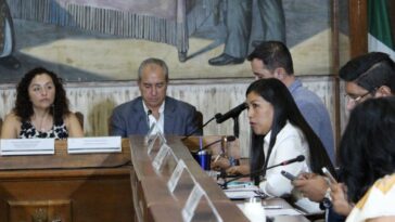 Aprueban el Consejo Consultivo de la Juventud Municipal