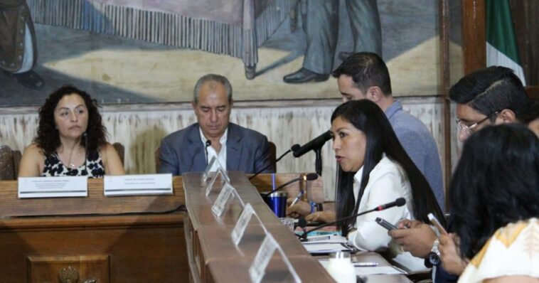 Aprueban el Consejo Consultivo de la Juventud Municipal