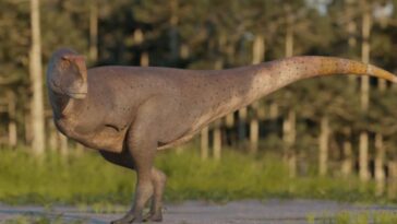Dinosaurio en Argentina