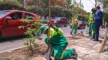 Reforestación en Cuernavaca