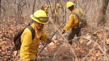Se reporta el 50% de control de incendio forestal en “El Zapote”