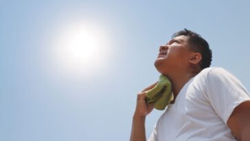 Veracruz es el estado con más fallecimientos por golpes de calor