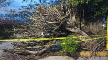Continúan atendiendo las afectaciones por lluvias en Cuernavaca