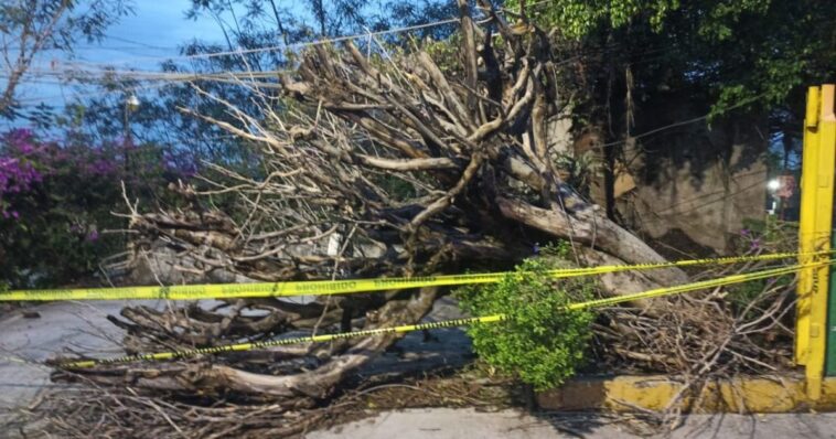 Continúan atendiendo las afectaciones por lluvias en Cuernavaca