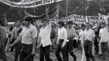 Qué pasó en el halconazo