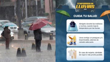 Recomendaciones