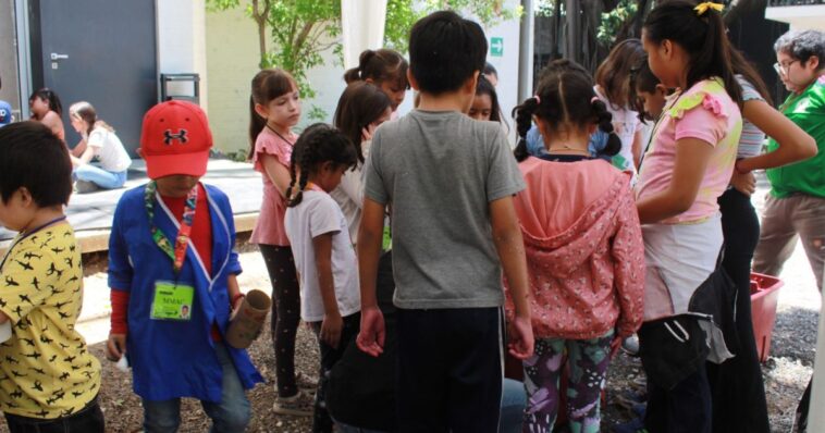 Curso de verano MMAC