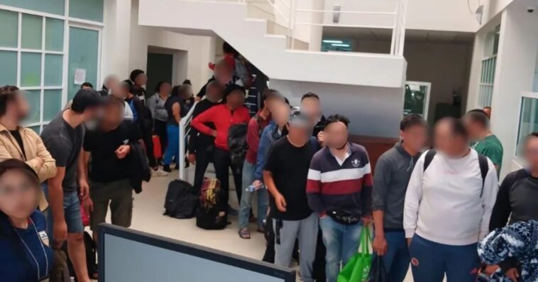 migrantes
