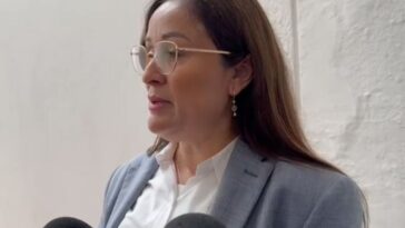 Identifican bardas con peligro de derrumbe