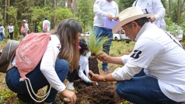 Reforestación Cuernavaca