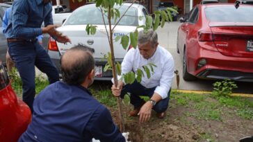Plantan 18 especies de arbóreas nativas en Teopanzolco