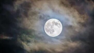 Por esta razón se celebra el Día Internacional de la Luna