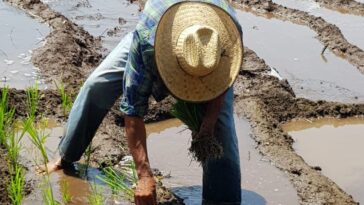 campo Morelos