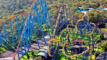 Six Flags quiere construir juego mecánico, pero talará 150 árboles