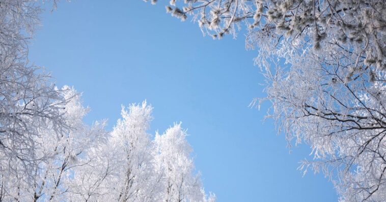 frio