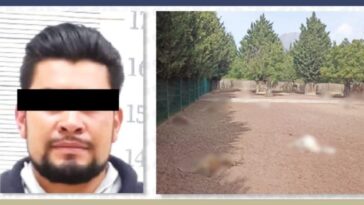 Hombre pasará 6 años en prisión por matar a 32 venados en Puebla
