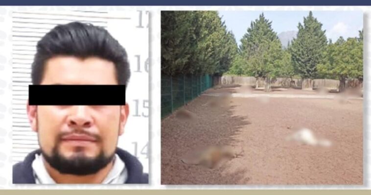 Hombre pasará 6 años en prisión por matar a 32 venados en Puebla