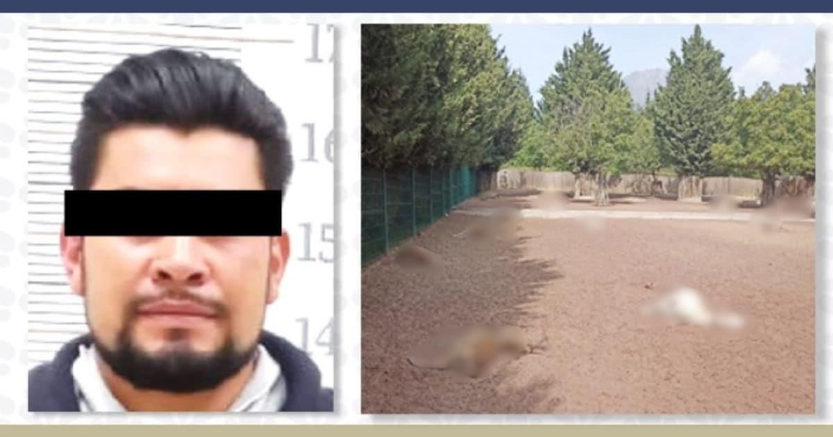 Hombre pasará 6 años en prisión por matar a 32 venados en Puebla