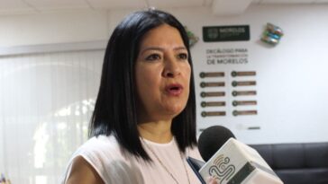 Sin aumentos ni modificaciones relacionadas con la propiedad de vehículos