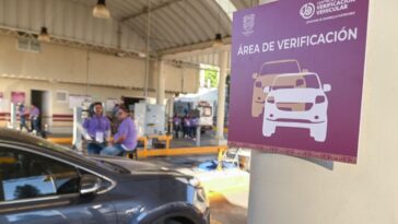 Verificacion