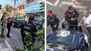 Detenido por plantar un árbol