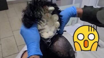 droga en peluca
