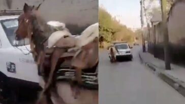 Taxi es captado arrastrando a un caballo
