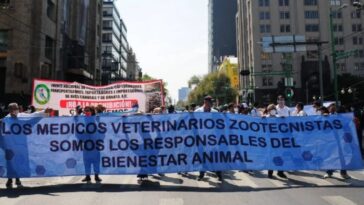 Veterinarios marcharán para exigir justicia por Héctor Hernández