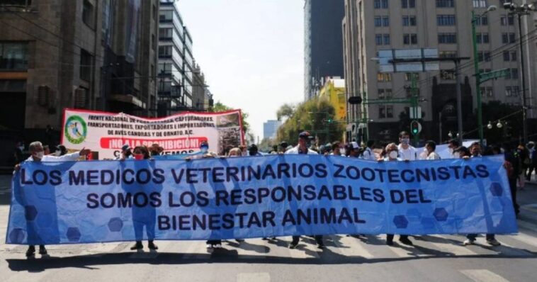 Veterinarios marcharán para exigir justicia por Héctor Hernández