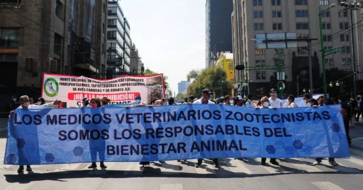 Veterinarios marcharán para exigir justicia por Héctor Hernández