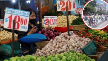 comerciantes
