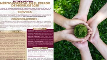 congreso