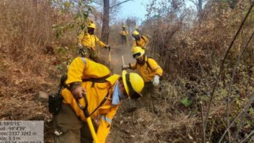 Incendio Tepotztlán 2025