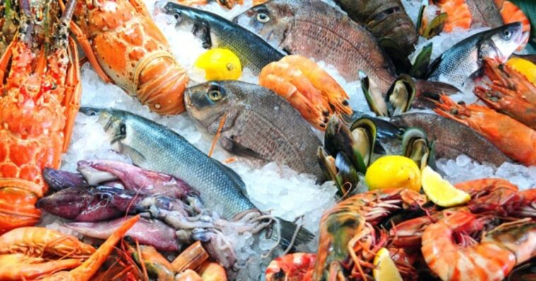 Este es el precio de los pescados de acuerdo con Profeco