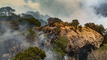 Logran liquidar el 40% del incendio en predio de Tepoztlán